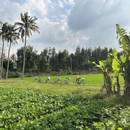 Ho Chi Minh City, Experience life as a local in the Mekong Delta